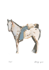 Cowboy Collection