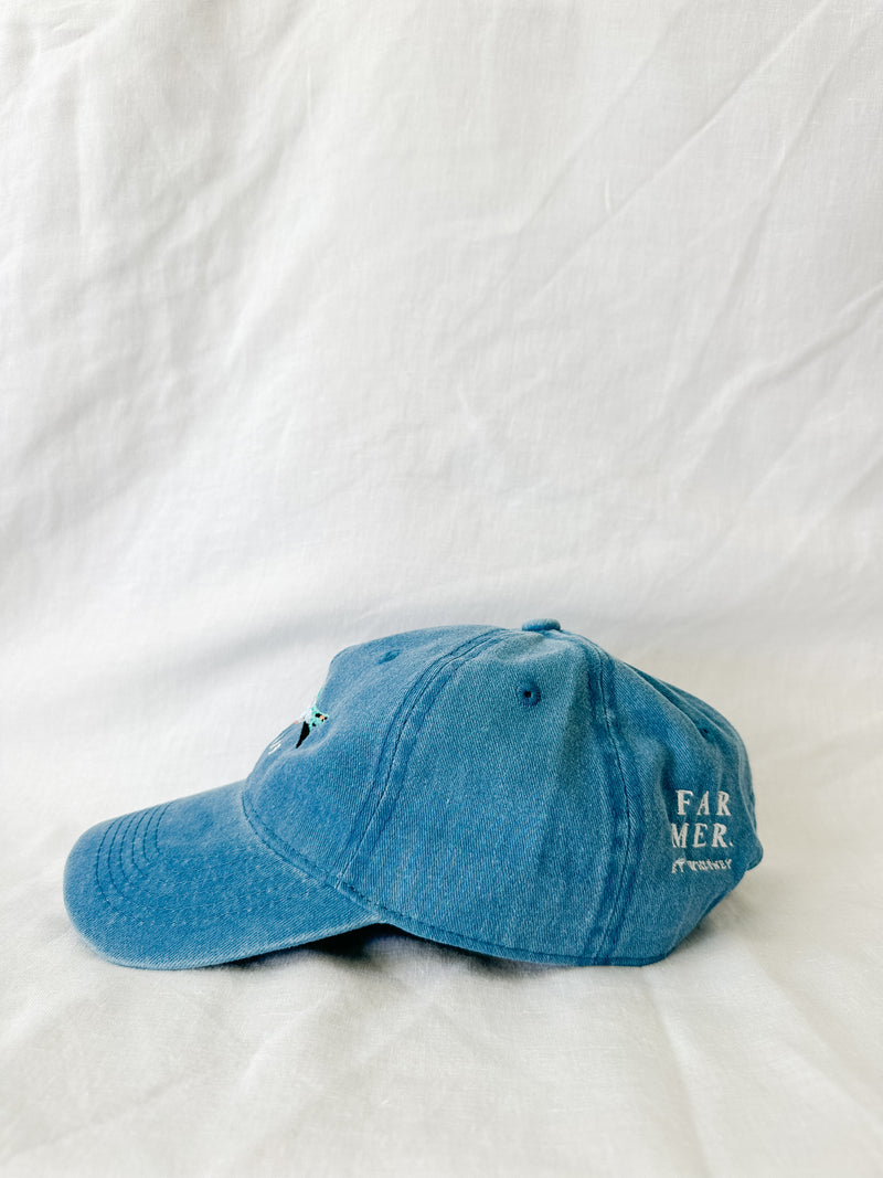 'Dam Days' Cap