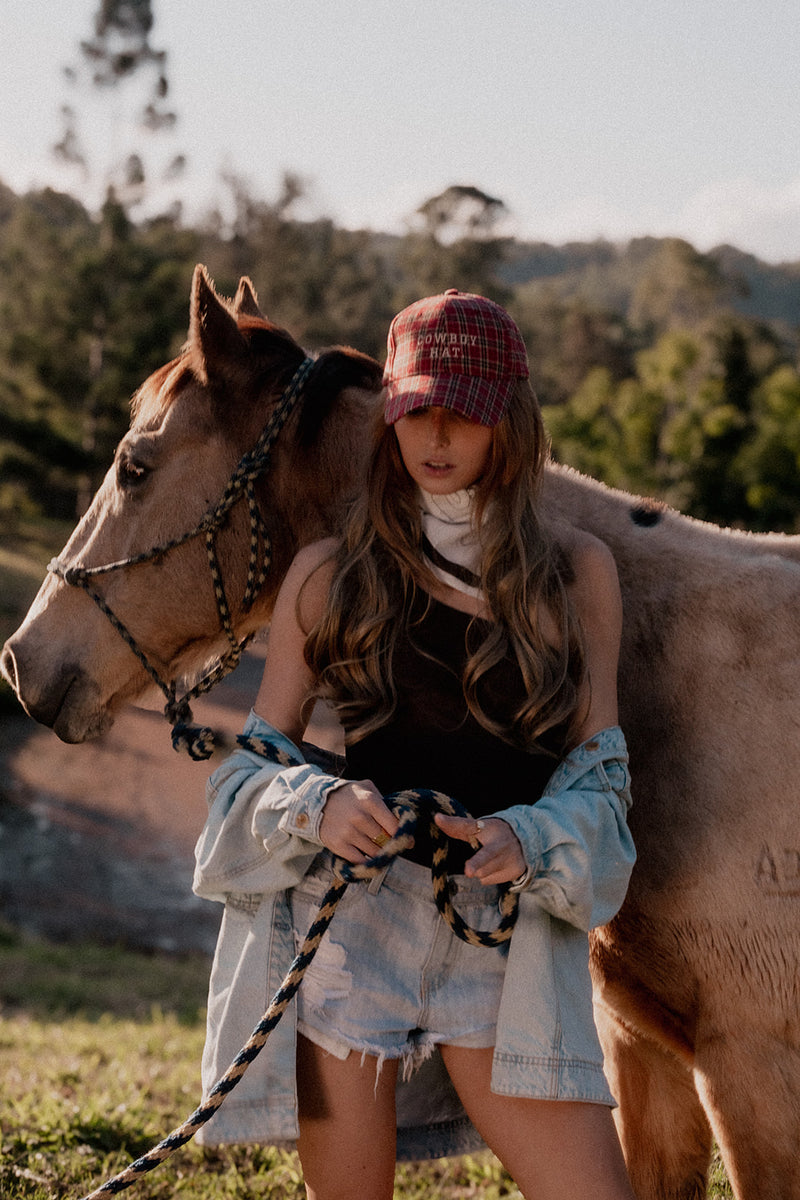 Cowboy Hat