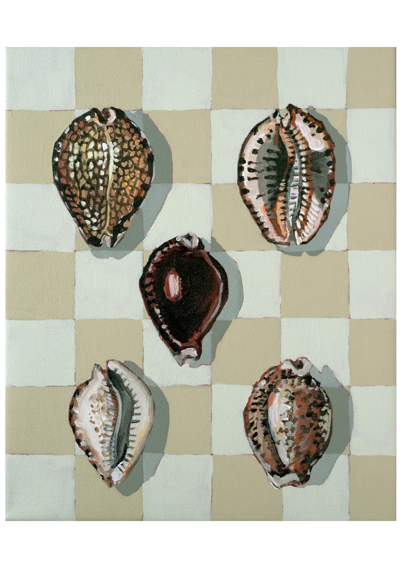 'Cowrie Collection' Print