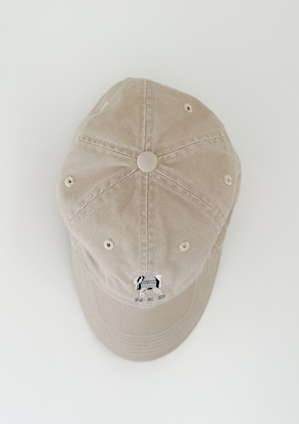 NED Cap
