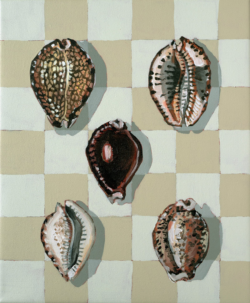 Cowrie Collection Original