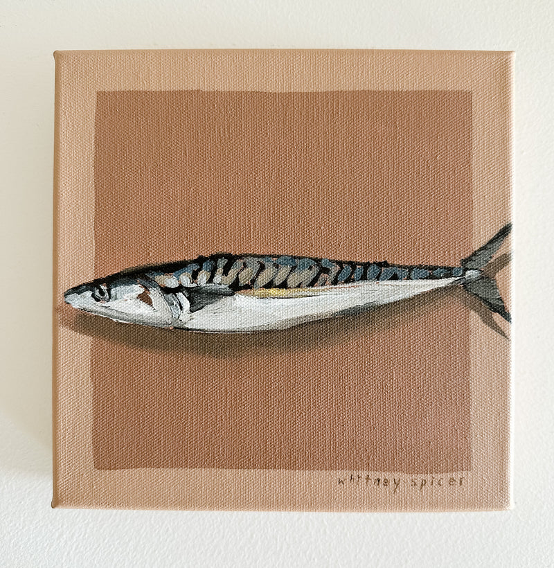 Sardine Tan Original