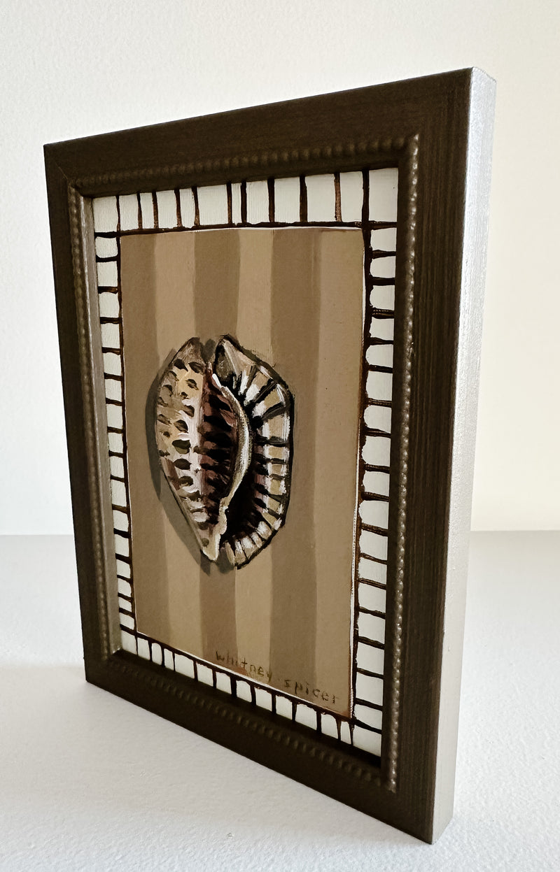 Brown Cowrie Original