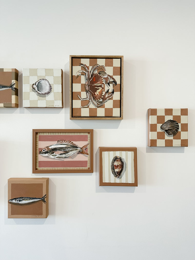 Pagurus Checkers Original